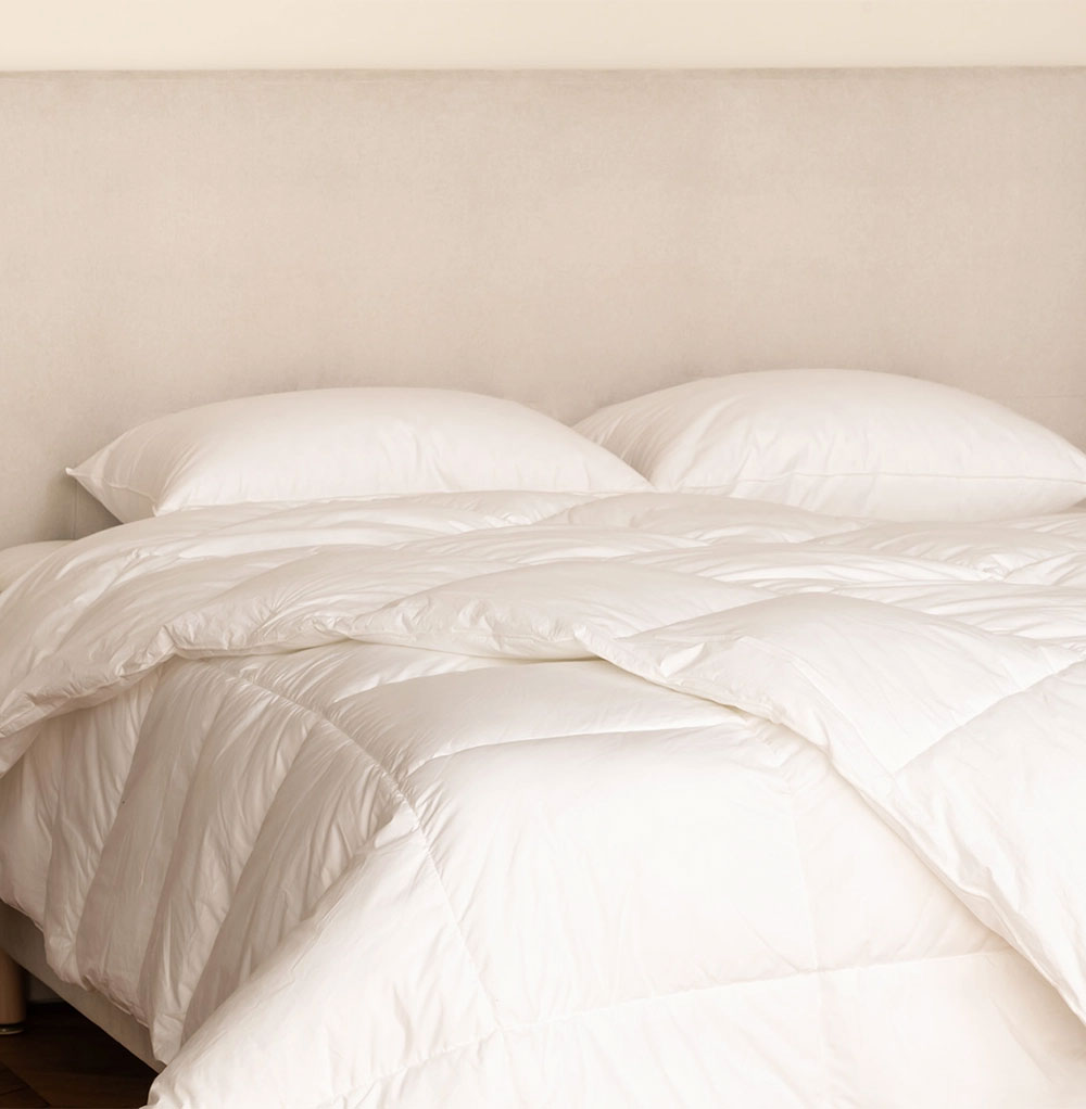 Couette en Duvet de Canard 2
