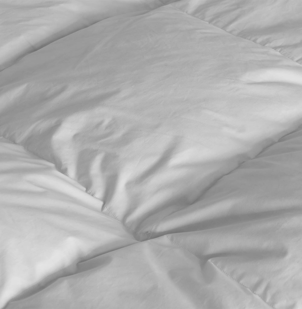 Duck Featherbed 4