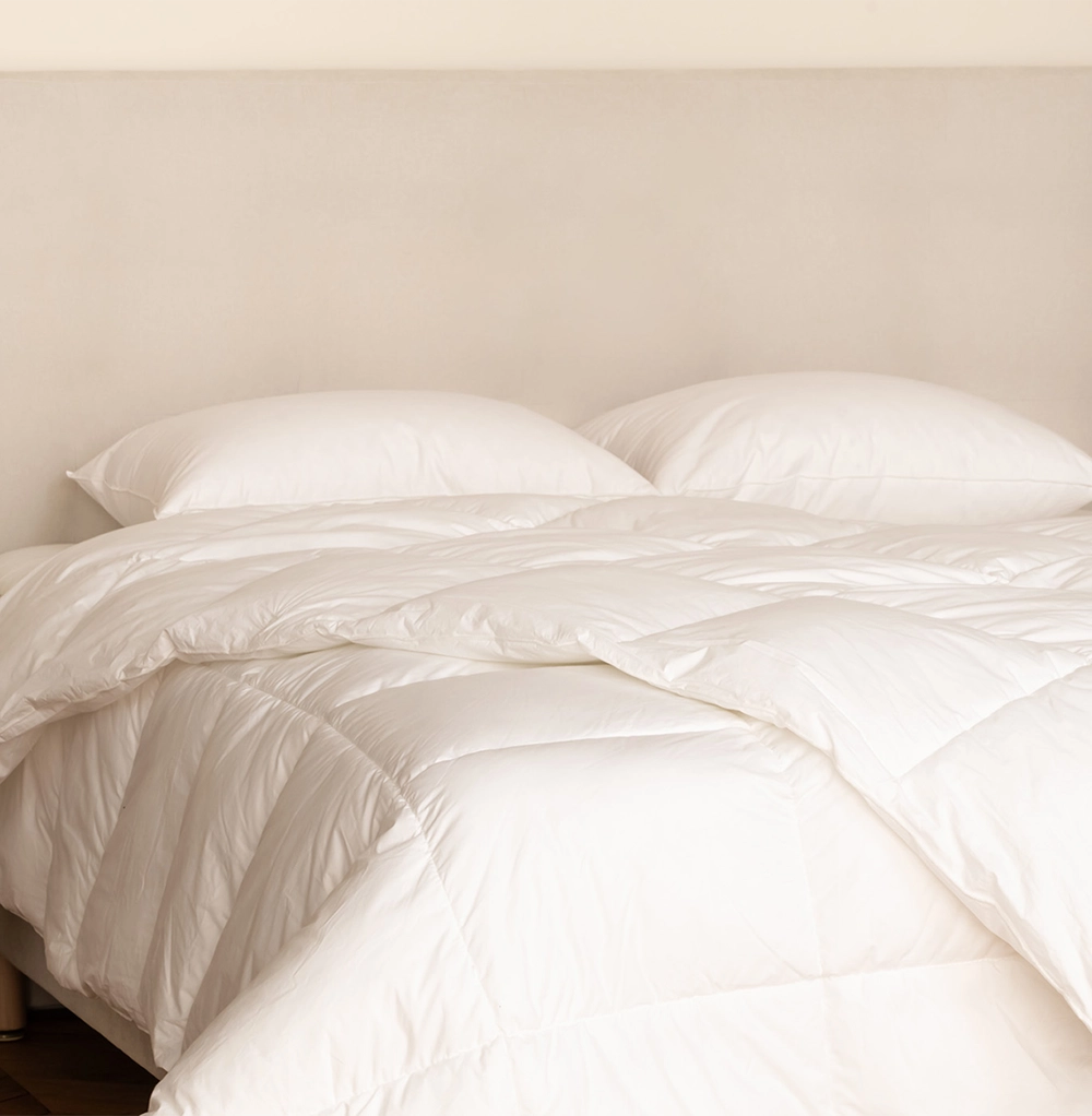 Ensemble Oreillers & Couette en Plumes et Duvet de Canard