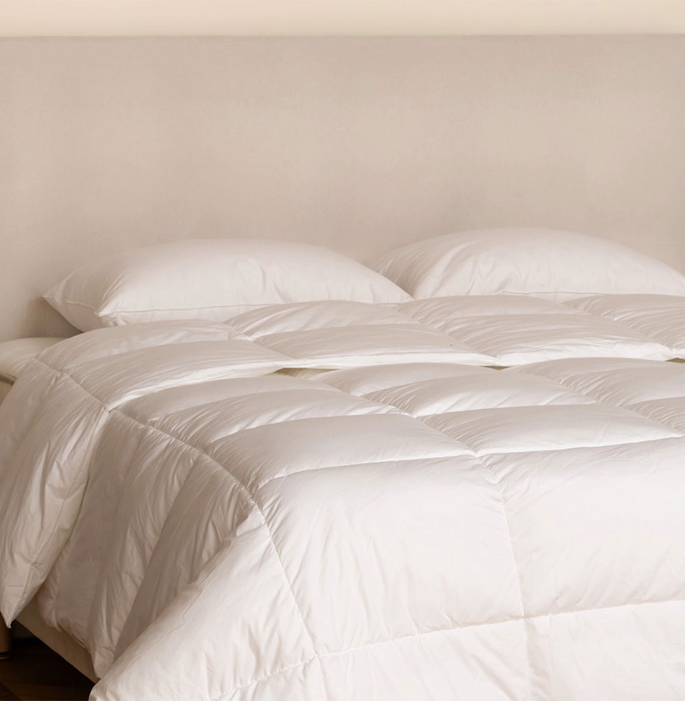 Couette Légère en Duvet de Canard