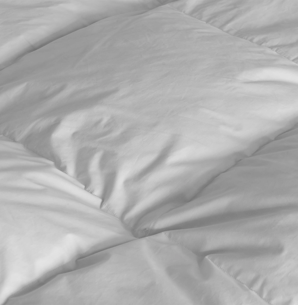 Duck Featherbed 4