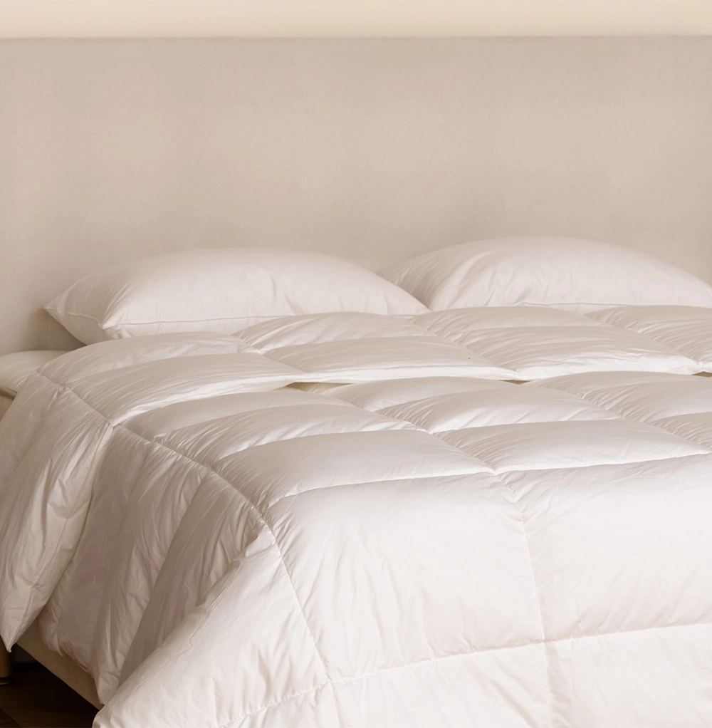 Couette Légère en Duvet de Canard 2