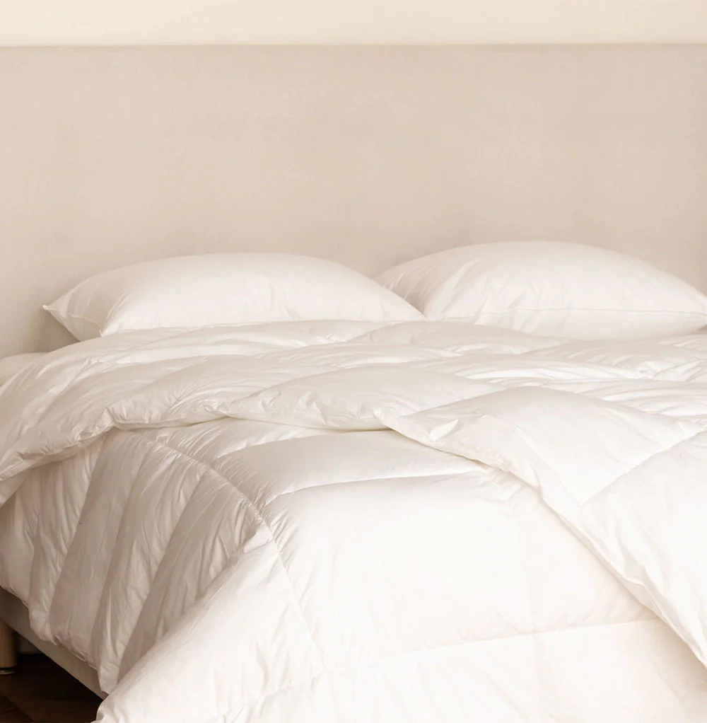 Ensemble Oreillers & Couette en Plumes et Duvet de Canard 2