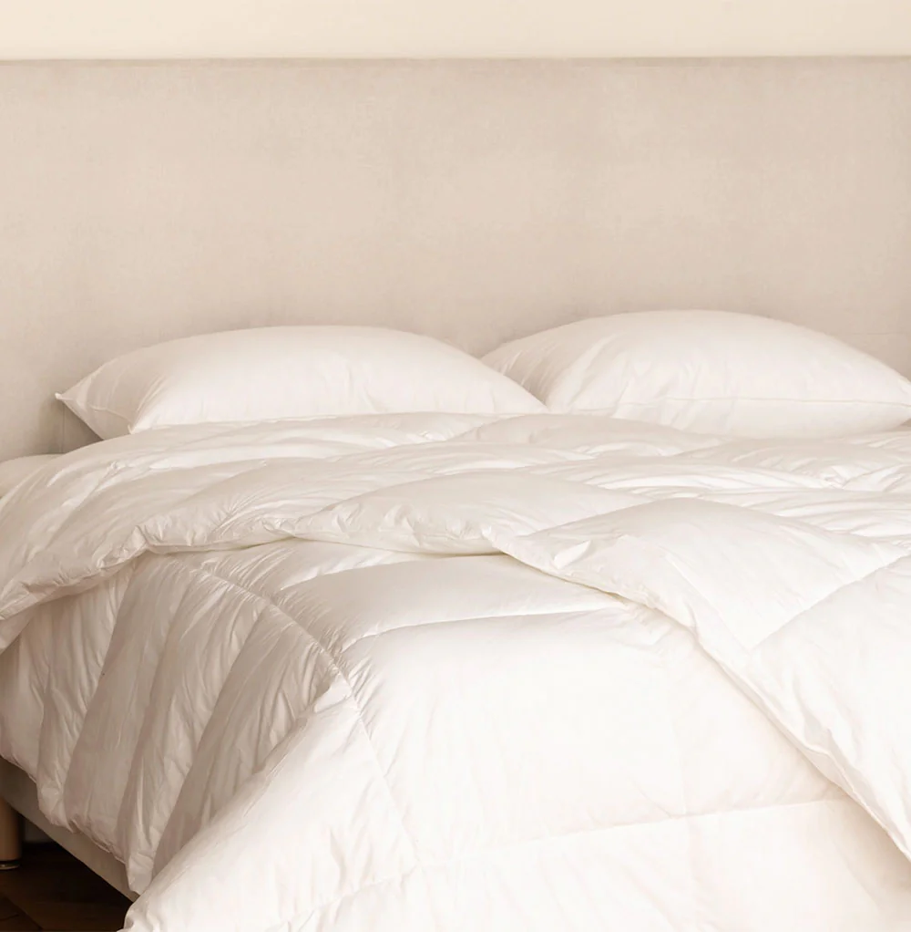 Couette en Duvet de Canard 2